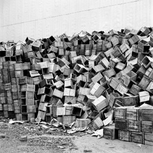 Vivian-Maier-Just-a-pile-of-boxes-to-you